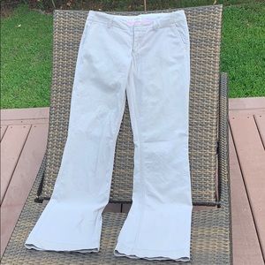 Express chino pants